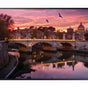 Samsung QB43R QB-R series 4K professional display