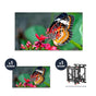 NEC UN492S + DS-VW775-QR 1x1 Kit | 49" Ultra-Narrow Bezel Professional-Grade Display with Peerless Full Service Mount