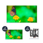 NEC UN492VS + DS-VW775-QR 1x1 Kit | 49" Ultra-Narrow Bezel Professional-Grade Display with Peerless Full Service Mount