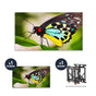 NEC UN552 + DS-VW775-QR 1x1 Kit | 55" Ultra-Narrow Bezel Professional-Grade Display with Peerless Full Service Mount