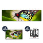 NEC UN552 + DS-VW775-QR 1x2 Kit | 55" Ultra-Narrow Bezel Professional-Grade Display with Peerless Full Service Mount