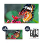 NEC UN492S + DS-VW775-QR 2x2 Kit | 49" Ultra-Narrow Bezel Professional-Grade Display with Peerless Full Service Mount
