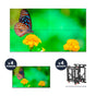 NEC UN492VS + DS-VW775-QR 2x2 Kit | 49" Ultra-Narrow Bezel Professional-Grade Display with Peerless Full Service Mount