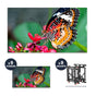 NEC UN492S + DS-VW775-QR 3x3 Kit | 49" Ultra-Narrow Bezel Professional-Grade Display with Peerless Full Service Mount