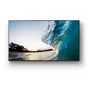 65" 4k Display