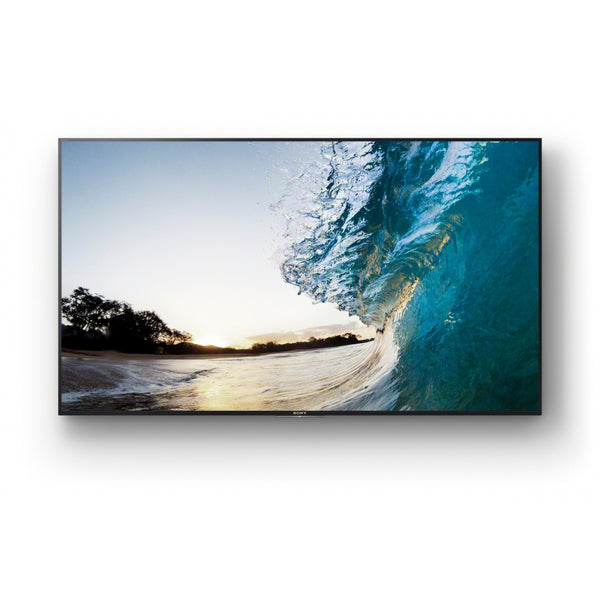 65" 4k Display