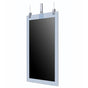 55'' 55EG5CE Hanging In-glass Double-sided OLED Display