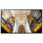 Samsung QB55N 55" professional display -- QB-N series 