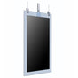 55'' 55EG5CE Hanging In-glass Double-sided OLED Display