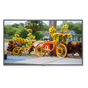 NEC C551 professional display