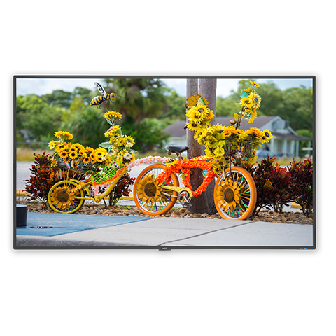 NEC C551 professional display