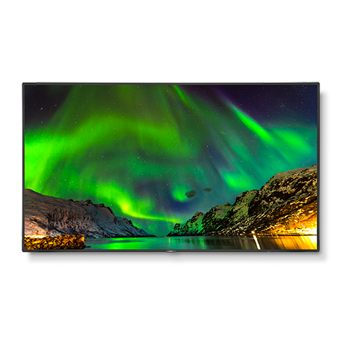 NEC C651Q-AVT2 professional display