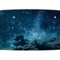 55” Landscape FHD Flexible Curved Open Frame OLED with Perfect Black & built-in SoC