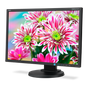 22" LED Backlit Widescreen Desktop Monitor