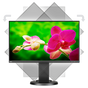 24" Narrow Bezel Desktop Monitor w/ IPS Panel, Integrated Speakers and LED Backlighting