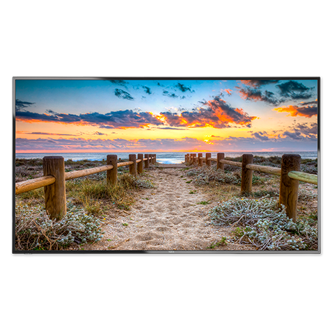 NEC E556 E Series E556 - 55" Commercial LED Display