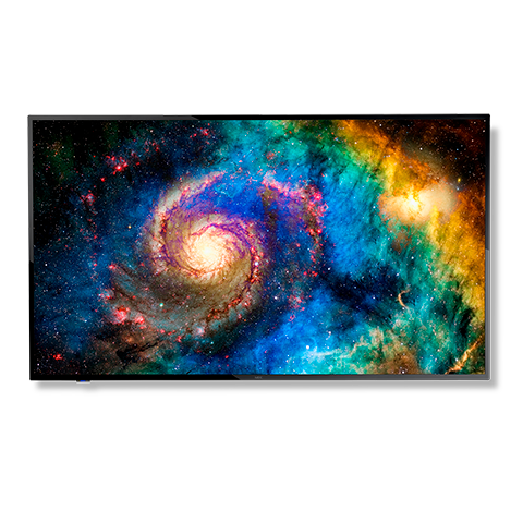 NEC E657Q 65" 4K UHD Display with Integrated ATSC/NTSC Tuner