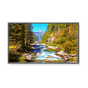 NEC E705 70" LED Backlit Commercial-Grade Display