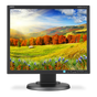 19" LED-backlit Desktop Monitor w/ IPS Panel and Integrated Speakers