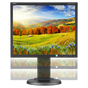 19" LED-backlit Desktop Monitor w/ IPS Panel and Integrated Speakers