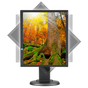 19" LED-backlit Desktop Monitor w/ IPS Panel and Integrated Speakers