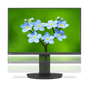 23” WUXGA Business-Class Widescreen Desktop Monitor w/ Ultra-Narrow Bezel, No Stand