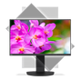 24” Full HD Business-Class Widescreen Desktop Monitor w/ Ultra-Narrow Bezel