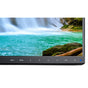 24” Full HD Business-Class Widescreen Desktop Monitor w/ USB-C Connectivity with SpectraView Color Calibration Solution