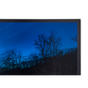 NEC 49" Ultra High Definition Professional Display