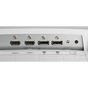 NEC 49" Ultra High Definition Professional Display