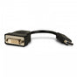 Viewsonic Viewsonic Video Adapter - DisplayPort Digital Video - DVI Digital Video