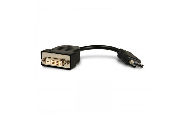 Viewsonic Viewsonic Video Adapter - DisplayPort Digital Video - DVI Digital Video