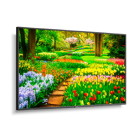 49" Ultra High Definition Professional Display with integrated SoC MediaPlayer with CMS platform