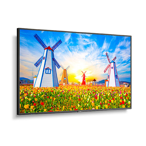 65" Ultra High Definition Professional Display with integrated SoC MediaPlayer with CMS platform