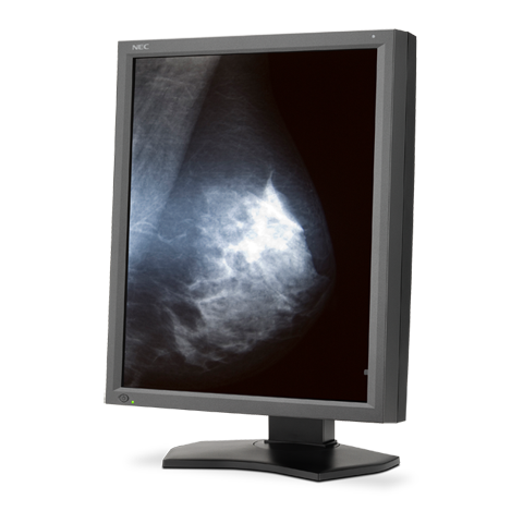 NEC MD211G5 NEC