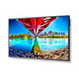 NEC 55" Ultra High Definition Professional Display with Integrated ATSC/NTSC Tuner