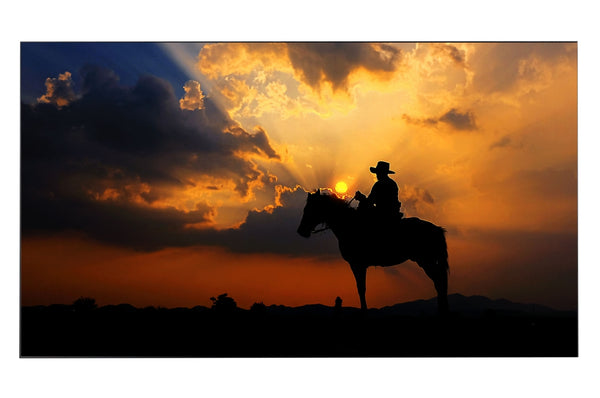 55” class High Brightness Video Wall
