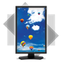 NEC PA242W-BK series professional display