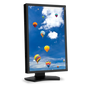 NEC PA242W-BK series professional display
