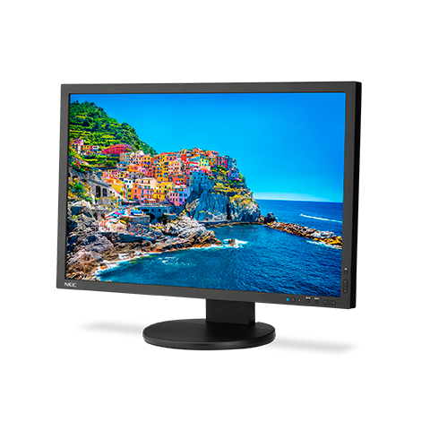 24" Professional Wide Gamut Desktop Monitor (Black)