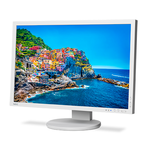 24" Professional Wide Gamut Desktop Monitor (White)
