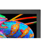 31" Color Critical Desktop Display with SpectraView Engine and SpectraViewII Color Calibration