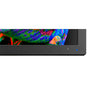 31" Color Critical Desktop Display with SpectraView Engine and SpectraViewII Color Calibration