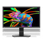 31" Color Critical Desktop Display with SpectraView Engine and SpectraViewII Color Calibration
