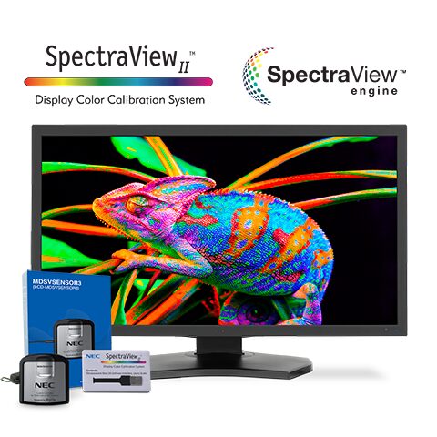 31" Color Critical Desktop Display with SpectraView Engine and SpectraViewII Color Calibration