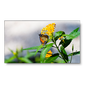 46" LED-Backlit 3.5mm 3x3 Video Wall Bundle