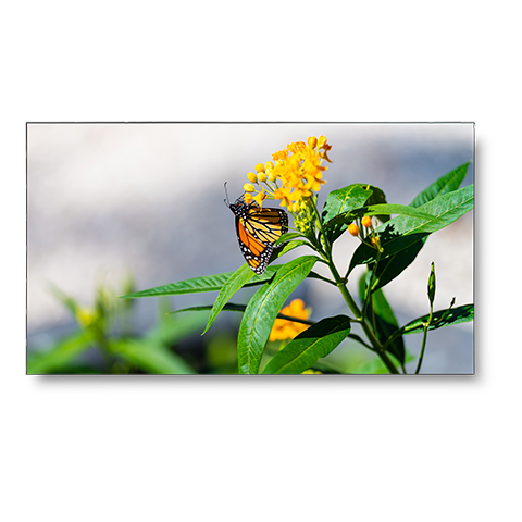 46" LED-Backlit 3.5mm 2x2 Video Wall Bundle