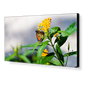 46" LED-Backlit 3.5mm 2x2 Video Wall Bundle