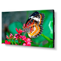 NEC UN492S + DS-VW775-QR 1x2 Kit | 49" Ultra-Narrow Bezel Professional-Grade Display with Peerless Full Service Mount