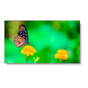 49" LED-Backlit 1.8mm 2x2 Video Wall Bundle (98" Active Screen Size)